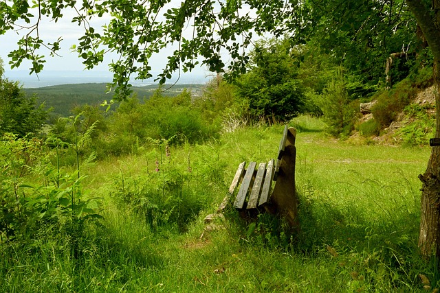 更加清晰 更加清晰