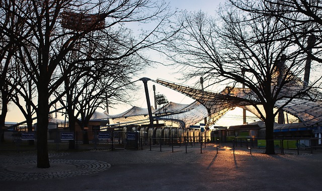 在新的一轮 在新的一轮