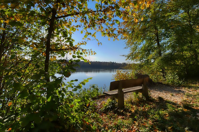 有效应对这 有效应对这